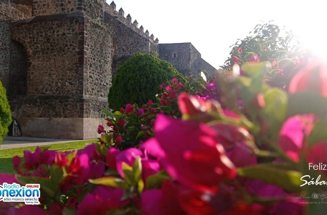 Inicio Radio Conexión On Line Yuriria